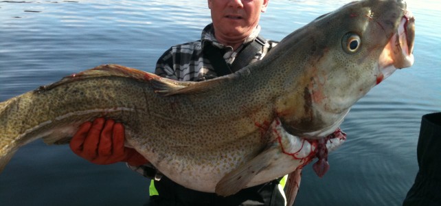 Fiske og båter Fiske og båter